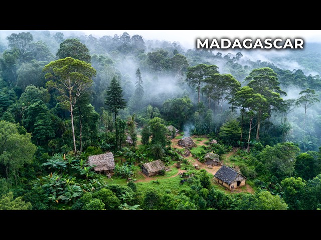 MADAGASCAR: The World’s Most Isolated Ecosystem | Travel Documentary