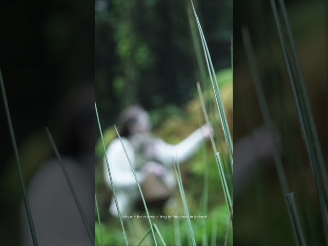 A Simple Day in Fairyland with a Little Fairy