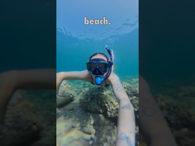Creativity doesn’t need a perfect setup 🐠🌊