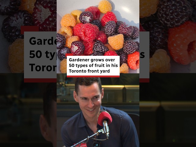 Gardener grows over 50 types of fruit in his Toronto front yard