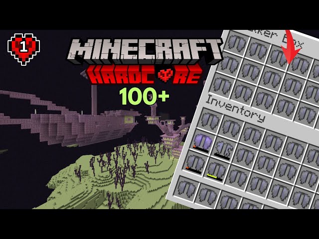 I Collected 100 Elytra's in Minecraft Hardcore (Hindi)
