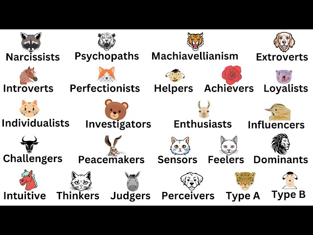 EVERY PERSONALITY TYPE EXPLAINED IN 10 MINUTES