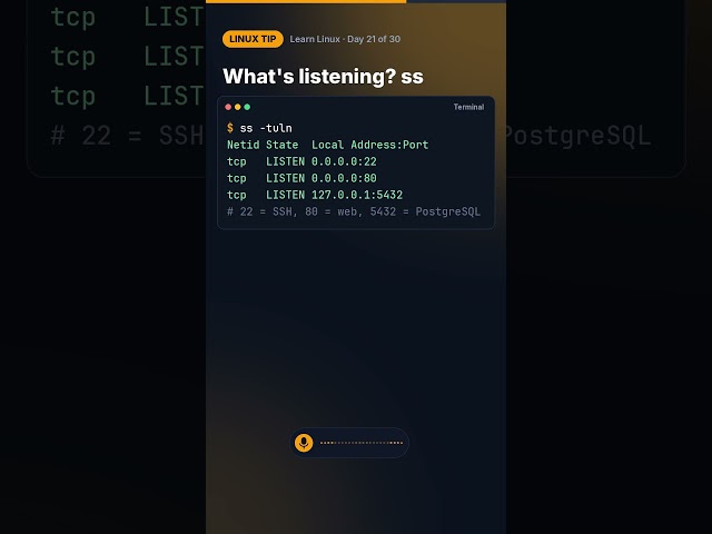 Linux tip: Network checks in 30 seconds #shorts