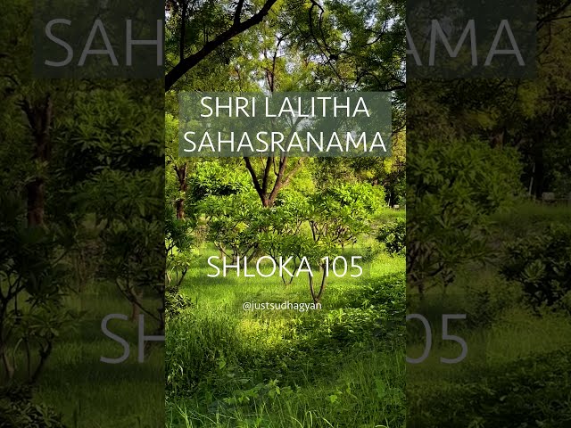 Shri Lalitha Sahasranamam Shloka 105 |   मेदोनिष्ठा मधुप्रीता | Kakini Roopadharini |Just Sudha Gyan