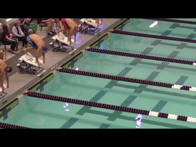 Dressel Start & Pull Down