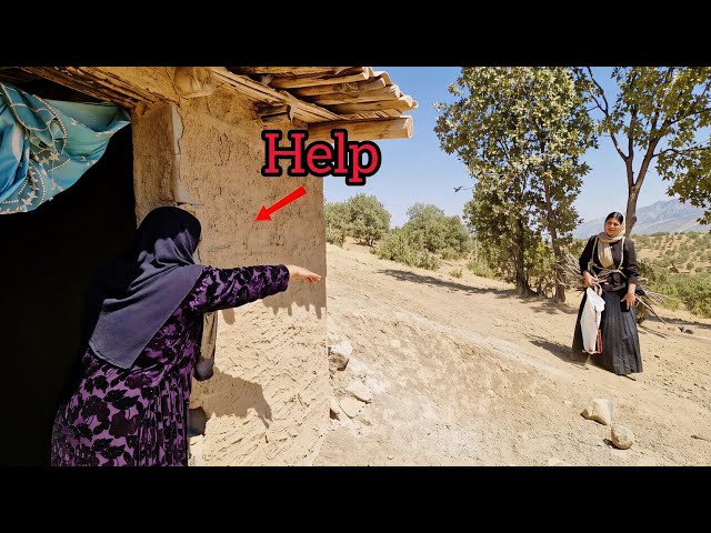  Rescue of a mother exiled to the mountains by her daughter-in-law! ⚠️