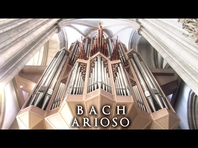 JS BACH - ARIOSO - THE ORGAN OF ST LAMBERTI, MÜNSTER, GERMANY - JONATHAN SCOTT