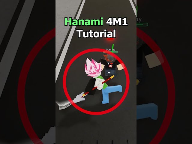 Hanami 4 M1 Tutorial (JJS)