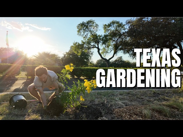 I Asked 3 Nursery Owners What Texans Get Wrong About Gardening