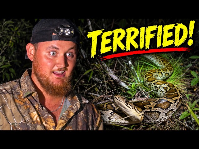 He’s Terrified of Snakes… So I Took Him Python Hunting
