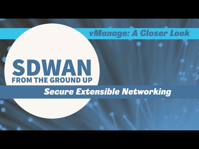 vManage: A Closer Look