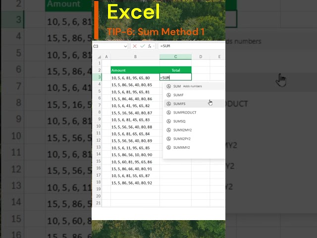 Excel Tips and Tricks 6: Sum Method 1 #excel  #exceltips #tipsandtricks #automobile