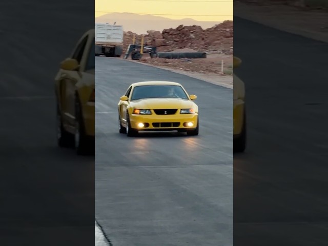 Screaming Yellow Terminator Cobra at Dusk 1 of 299, whipple supercharged, Borla Stingers
