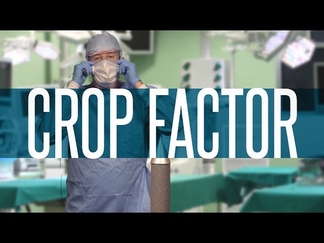 Crop Factor Explained: FocusEd
