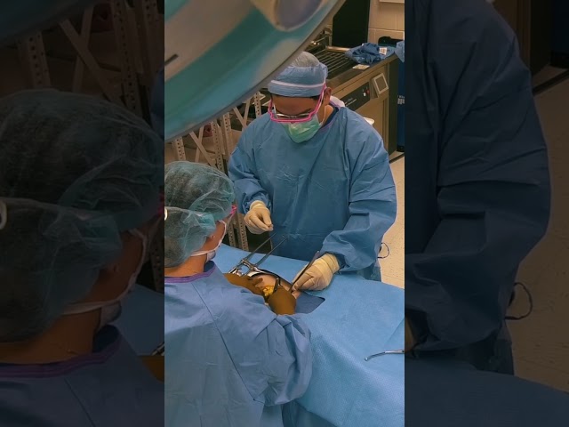 Surgical Technology at SPC