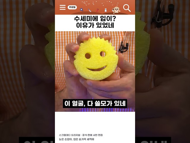 수세미에 입이 있는 이유, 알고 나면 못 지나칩니다  #쇼핑추천 #살림템 #신기템 #쇼핑쇼츠 #주방꿀템