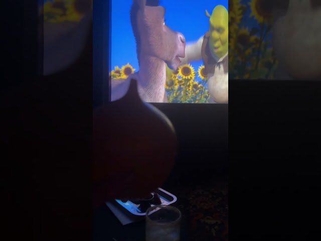 Eating food from Shrek #shrek #forknfilm #watchparty #shrekislove #donkey #lordfarquaad