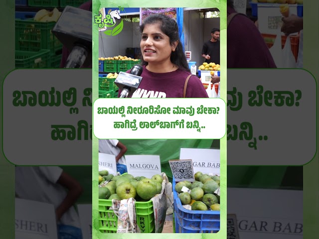 ಬಾಯಲ್ಲಿ ನೀರೂರಿಸೋ ಮಾವು ಬೇಕಾ  ಹಾಗಿದ್ರೆ ಲಾಲ್‌ಬಾಗ್‌ಗೆ ಬನ್ನಿ| Lalbagh Mango Mela Special