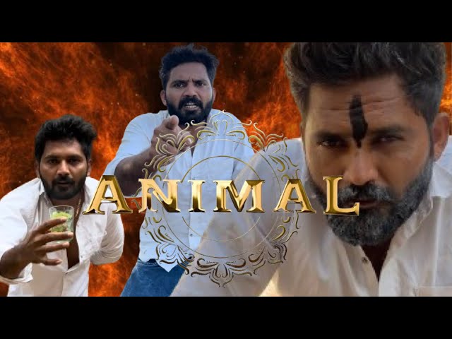 ANIMAL spoof||babuthakorofficial