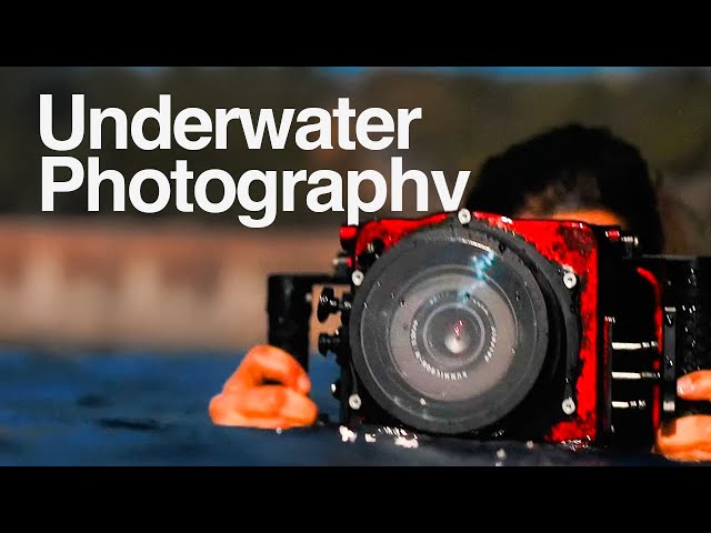 Underwater Photography Mini Documentary