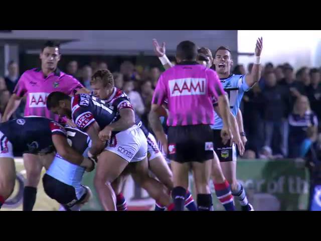 Beau Knows SBW's Shoulder