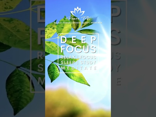 DEEP FOCUS FLUTE MEDITATION #meditation