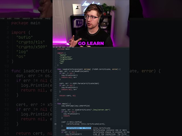 Learn Zig or C First?