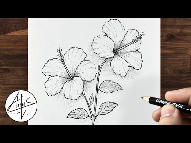 How to Draw a Beautiful Hibiscus Flower Step by Step | Easy Pencil Drawing Tutorial