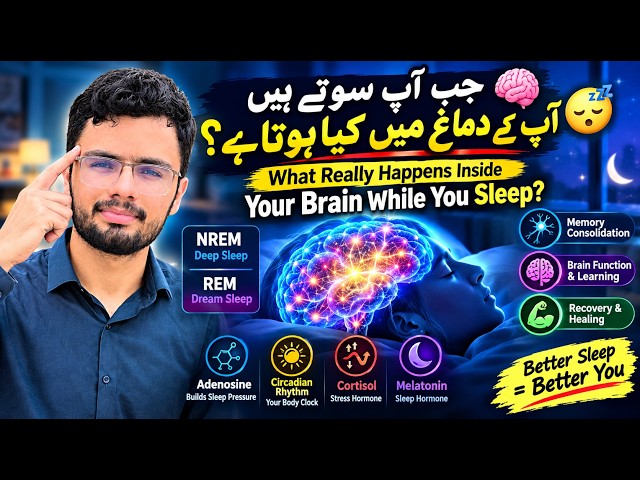 What REALLY Happens to Your Brain When You Sleep? 🧠 | Sleep Science Explained