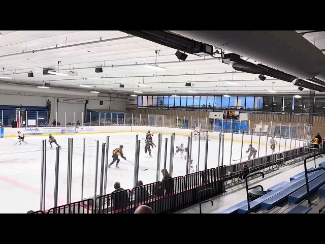 11/8/25 1st Period vs Rochester
