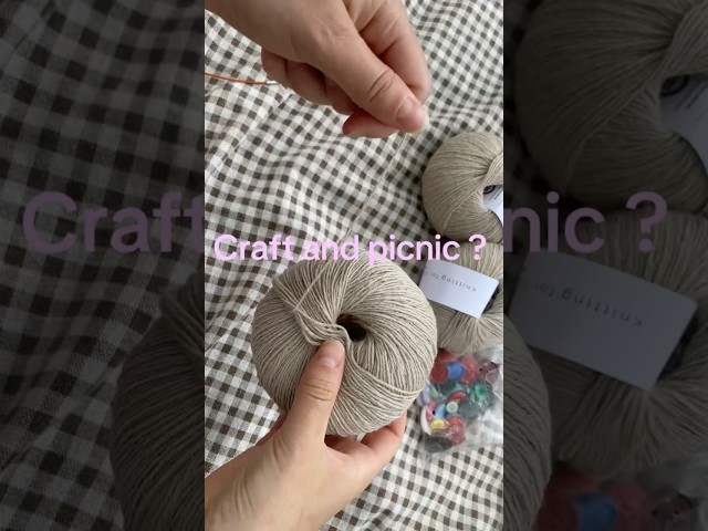 Craft and picnic ?