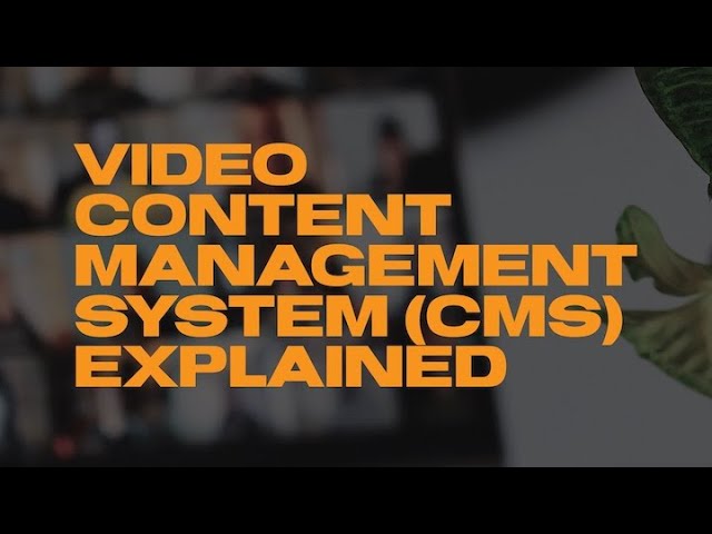 Video Content Management System (CMS) Explained