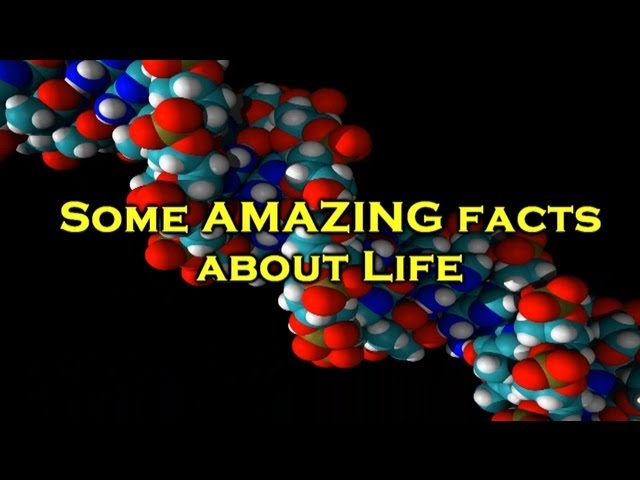 Some AMAZING facts about life!