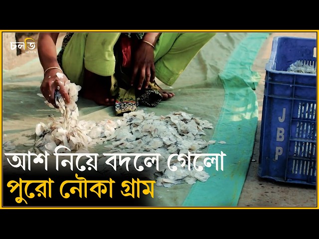 সানদররা এখন বদলে গিয়েছে || চলতি