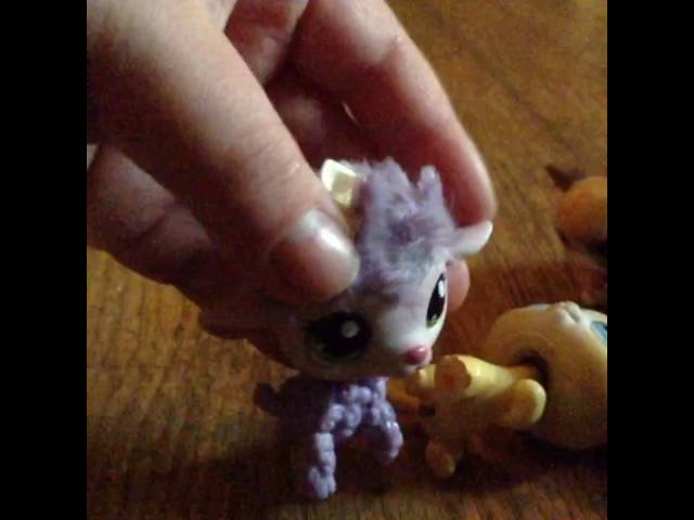 LPS Videos Coming Soon!