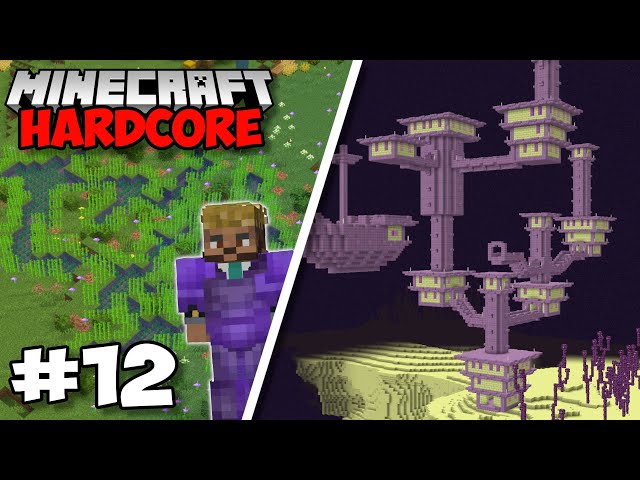 I Defeated THE END CITY in Minecraft Hardcore (#12)