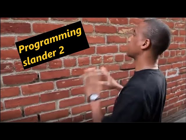 Programming language/Computer Science Slander 2