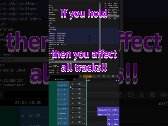 019 Alt+Option on timeline