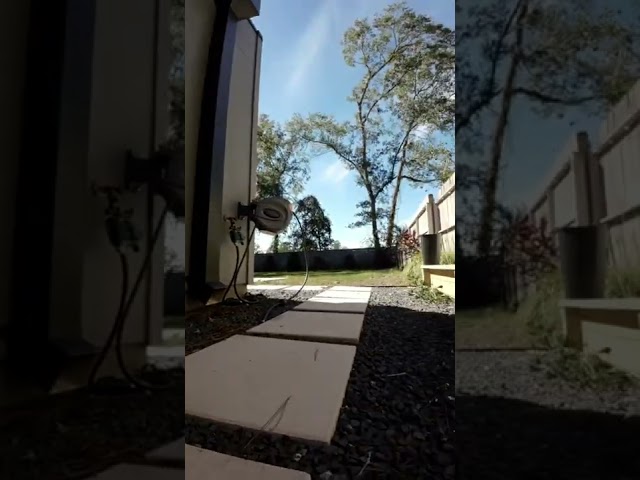 Drone Dog #shorts #untitledlabel