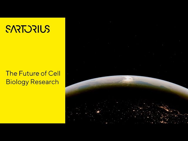 Live-Cell Imaging and Analysis: Capturing Biology in Real Time