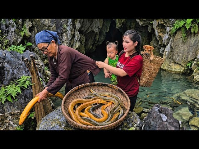 Giang Sets a Fish Trap Deep in the Primary Forest Then Mrs. Nho Catches Them | Unexpected Ending