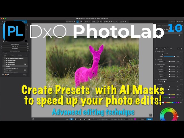 DxO PhotoLab 10: Save Time with AI Masks & Presets