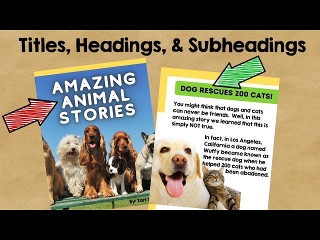 Nonfiction Text Features