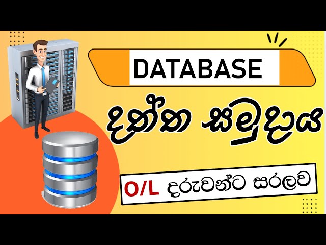 Database | දත්ත සමුදාය O/L ICT Lesson in Sinhala