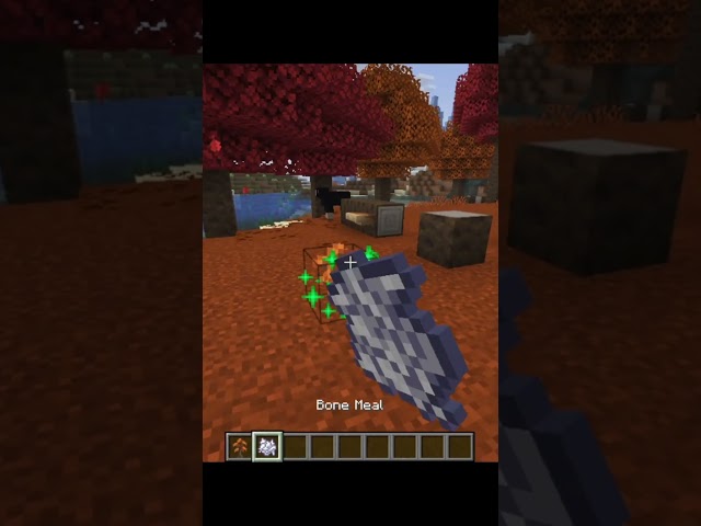 Minecraft 26.3 Update Is INSANE! 😱 New Biome, Camps, Beds & More!  #minecraft #minecraftupdate