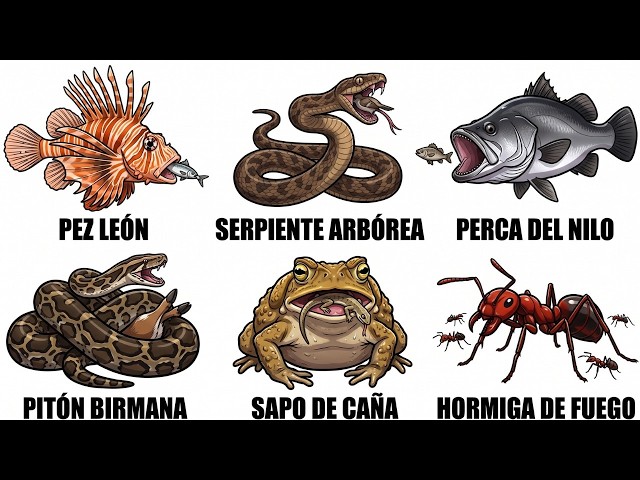 Why These 6 Animals Are The Greatest THREAT To Nature
