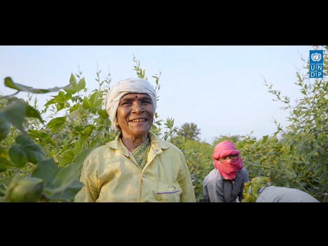 India at Scale | UNDP in 2025