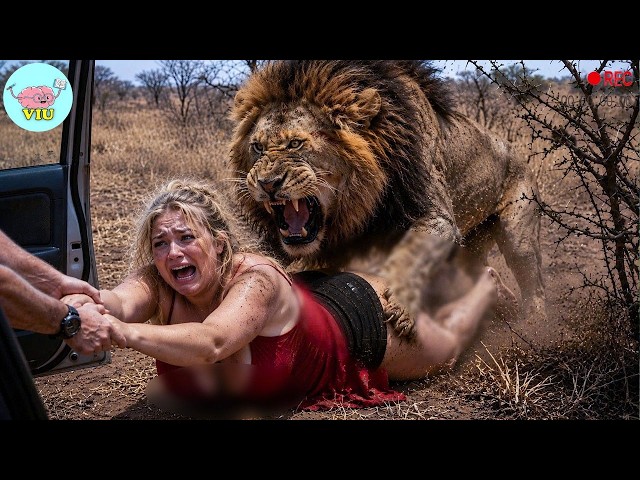 230 MOST TERRIFYING ANIMAL ATTACKS Ever Caught on Camera | Wild Animals Invading People’s Homes