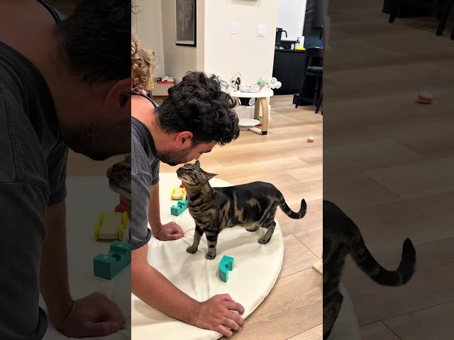 Bet you didn’t see that coming! 🤣 #dontstopmeowing
