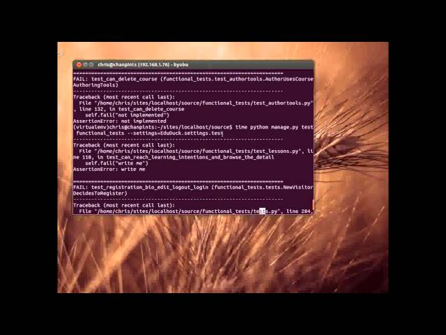 Functional tests with Selenium